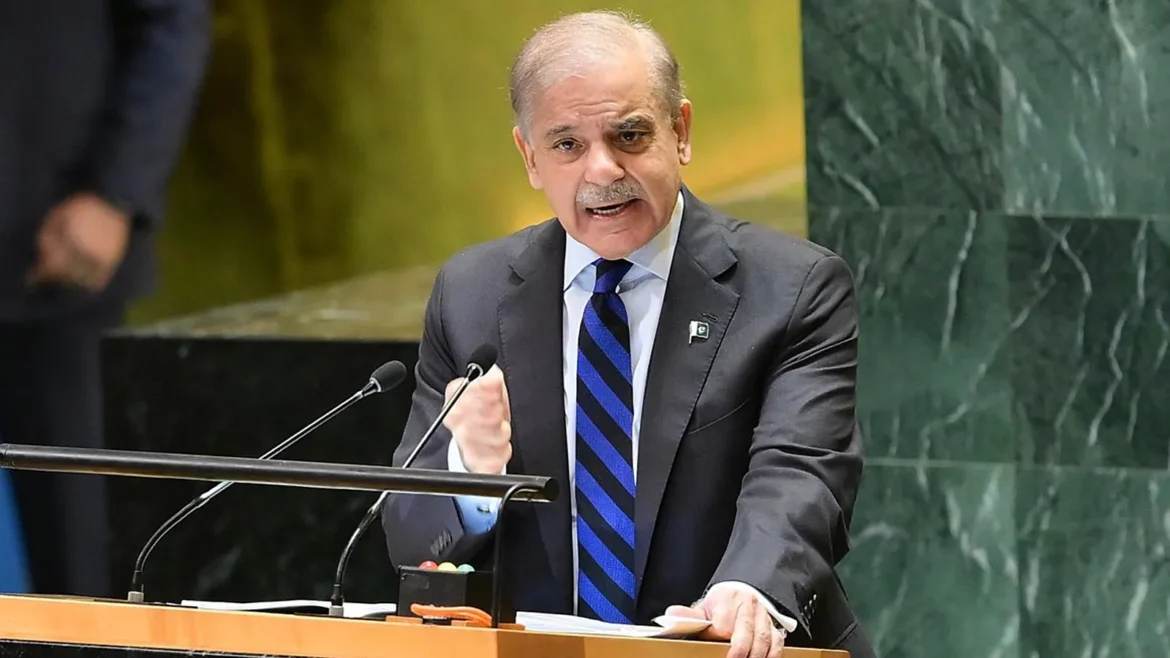 اقوام متحدہ میں فلسطینی مشن نے وزیراعظم شہباز شریف کے فلسطین سے متعلق بیان کو سوشل میڈیا پر نمایاں کیا۔ وزیراعظم نے ہند رجب اور وفا عقیلہ کا ذکر کیا۔
